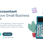 online accountant for small business