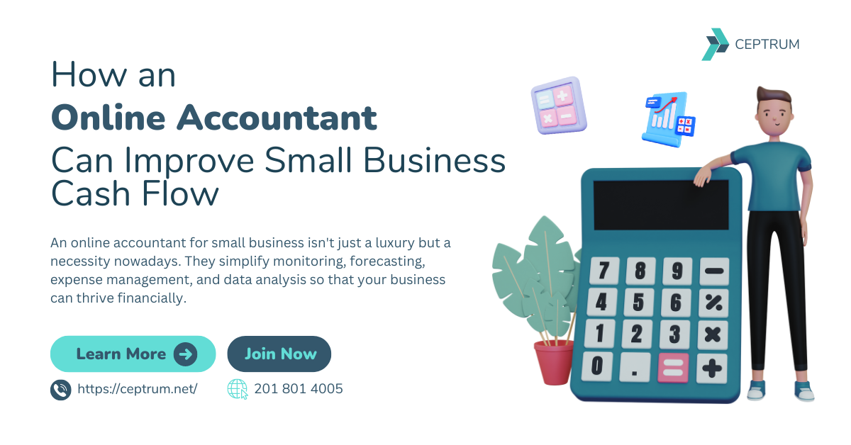 online accountant for small business